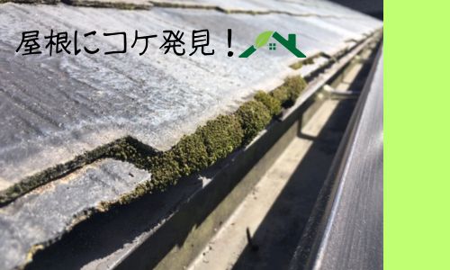 青森市にて屋根のコケは雨漏りの可能性があり！
