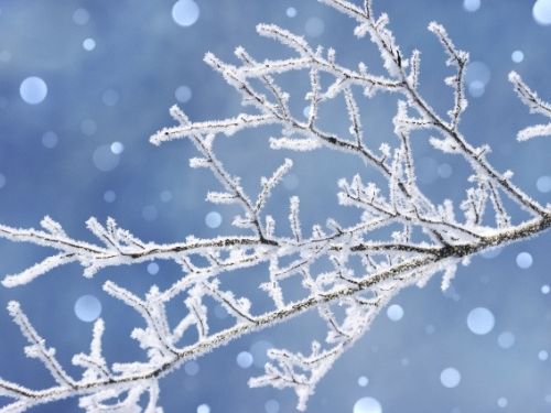 冬の外壁塗装はできる？気温・湿度など施工時に確認したい条件